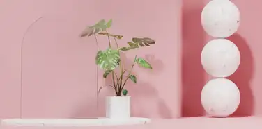 How to Evaluate Brokers and Data Feeds for Automated Futures Trading