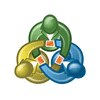 MetaTrader logo